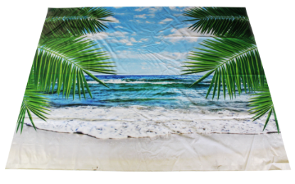 Picture of Beach Backdrop