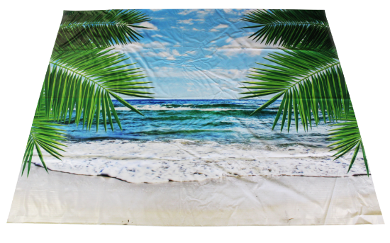 Picture of Beach Backdrop
