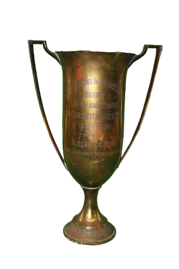Picture of Trophy Cup