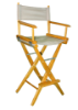 Picture of Director Chair