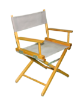 Picture of Director Chair