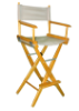 Picture of Director Chair