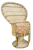 Picture of Peacock Chair