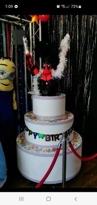 Picture of Pop-Out Cake