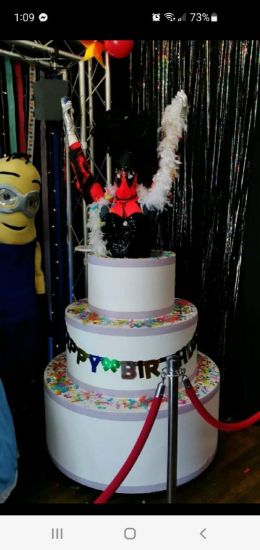Picture of Pop-Out Cake